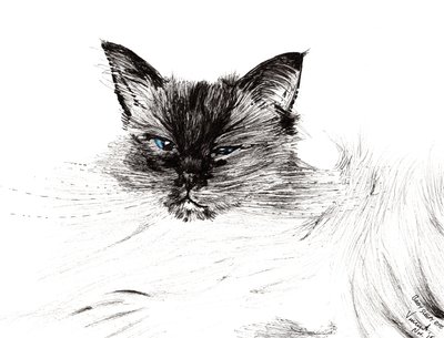 Zaspane oko, 2015, (tusz na papierze) autorstwa Vincent Alexander Booth