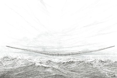 Twórcy burzy, Cape Leveque, 2023 autorstwa Vincent Alexander Booth