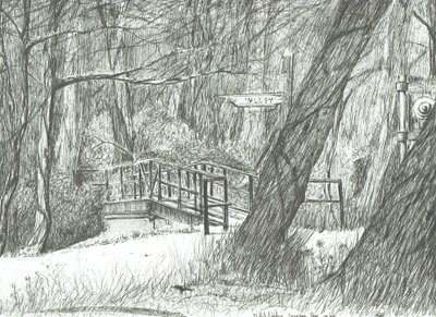 Stary metalowy most, Bramhall park, 2004 autorstwa Vincent Alexander Booth