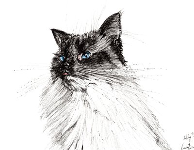 Czemu? 2016, (tusz na papierze) autorstwa Vincent Alexander Booth