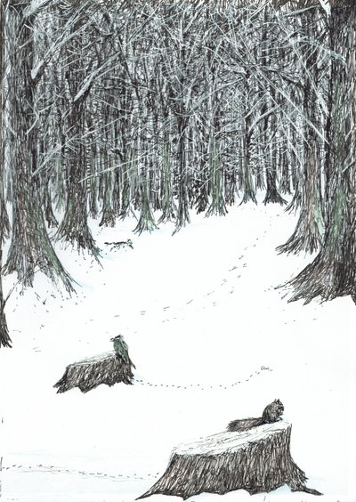 str.5, Zamek w lesie Findhorn, 2006, (tusz na papierze) autorstwa Vincent Alexander Booth