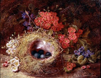 Martwa natura ptasiego gniazda i kwiatu autorstwa Vincent Clare