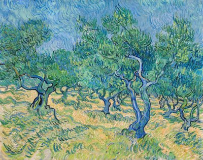 Gaj oliwny, 1889. autorstwa Vincent van Gogh