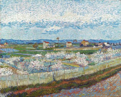 Drzewa brzoskwiniowe w kwiatach, 1889. autorstwa Vincent van Gogh