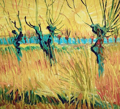 Wierzby o zachodzie słońca, 1888. autorstwa Vincent van Gogh