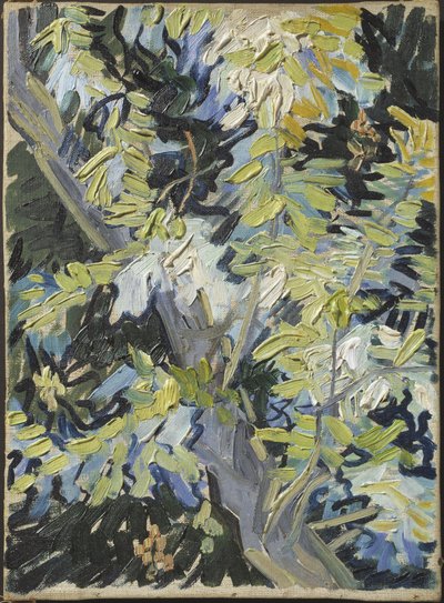 Acacia en fleur - Kwitnienie akacji, Gogh, Vincent, van (1853-1890). Olej na płótnie. Wymiar : 33x24 cm. Muzeum Narodowe w Sztokholmie autorstwa Vincent van Gogh