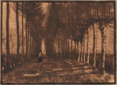 Aleja brzóz i topoli Pollard autorstwa Vincent van Gogh