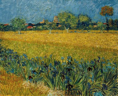 Widok Arles z kwiatami irysa na pierwszym planie autorstwa Vincent van Gogh