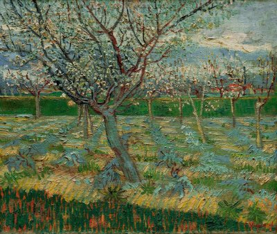 Kwitnący sad z drzewami morelowymi autorstwa Vincent van Gogh