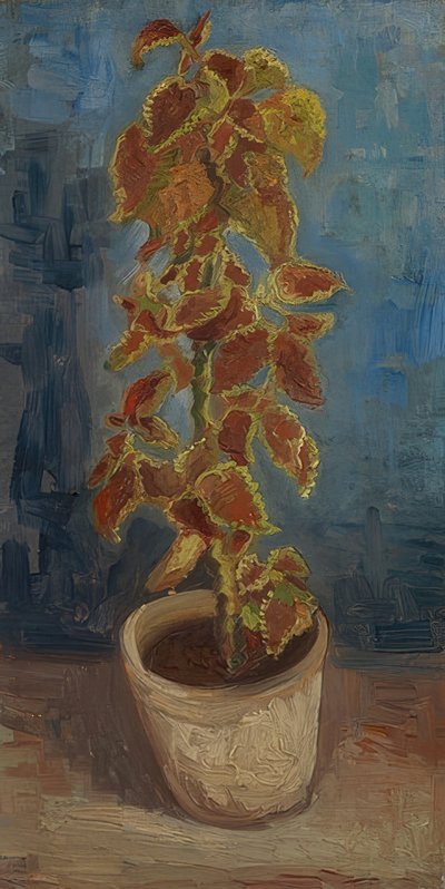 Doniczka z kolorową pokrzywą. 1886 autorstwa Vincent van Gogh