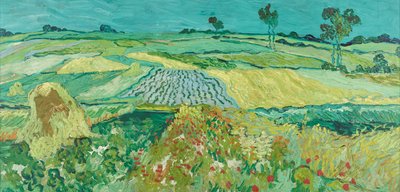 Równina Auvers autorstwa Vincent van Gogh