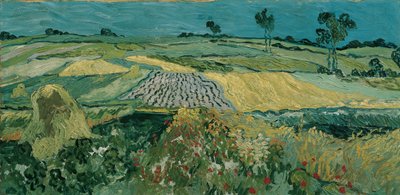 Równina Auvers autorstwa Vincent van Gogh