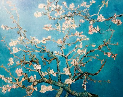 Holenderski: Amandelbloesem Kwitnące drzewo migdałowe autorstwa Vincent van Gogh