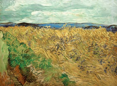 Pole z chabrami autorstwa Vincent van Gogh