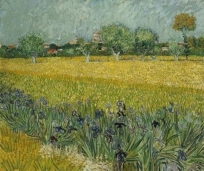Pole z irysami w pobliżu Arles. maj 1888 autorstwa Vincent van Gogh