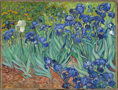 Irysy autorstwa Vincent van Gogh