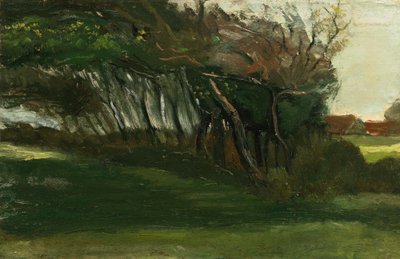 Pejzaż z drzewami smaganymi wiatrem, ok. 1883-84 (olej na płótnie) autorstwa Vincent van Gogh