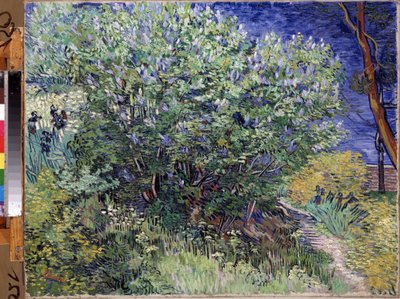 „Krzak bzu” (Krzak bzu) Obraz Vincenta van Gogha (1853-1890) 1889 Wymiary 72x92 cm Ermitaż, Sankt Petersburg (Sankt-Petersburg) autorstwa Vincent van Gogh