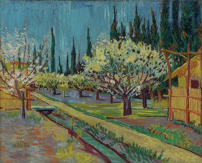 Sad otoczony cyprysami. 1888 autorstwa Vincent van Gogh