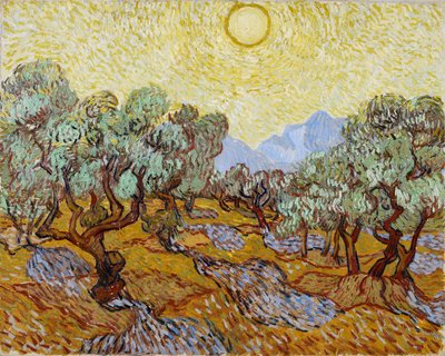 Drzewa oliwne autorstwa Vincent van Gogh