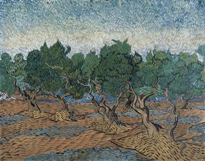 Gaj oliwny autorstwa Vincent van Gogh