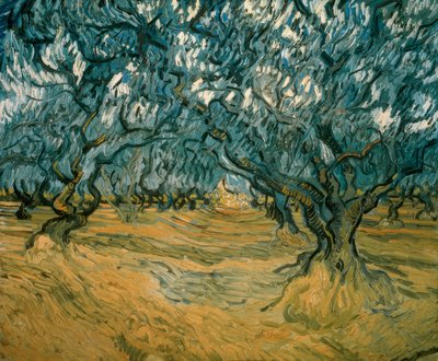Drzewa oliwne autorstwa Vincent van Gogh