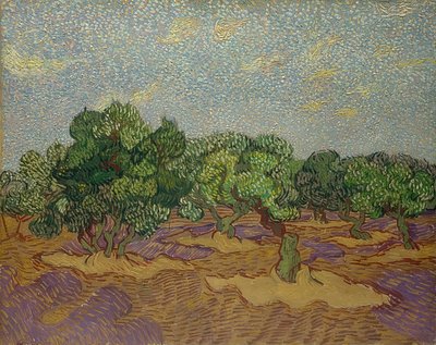 Drzewa oliwne. 1889 autorstwa Vincent van Gogh