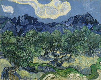 Drzewa oliwne. 1889 autorstwa Vincent van Gogh