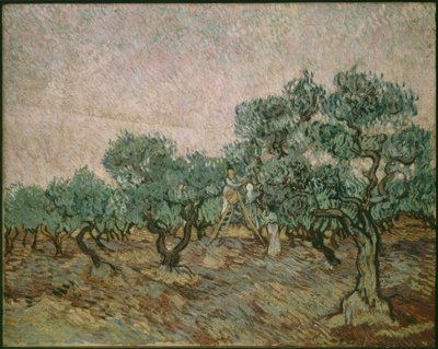 Zbieracz oliwek autorstwa Vincent van Gogh