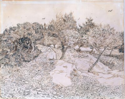 Drzewa oliwne w Montmajour autorstwa Vincent van Gogh