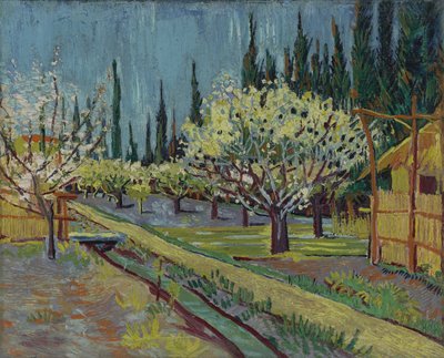 Sad otoczony cyprysami autorstwa Vincent van Gogh