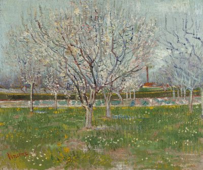 Sad w Kwiecie (Śliwa) autorstwa Vincent van Gogh