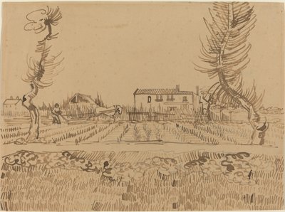 Oracz na polach w pobliżu Arles, 1888. autorstwa Vincent van Gogh