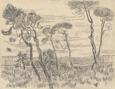 Sześć sosen w pobliżu ściany ogrodzenia, 1899 autorstwa Vincent van Gogh