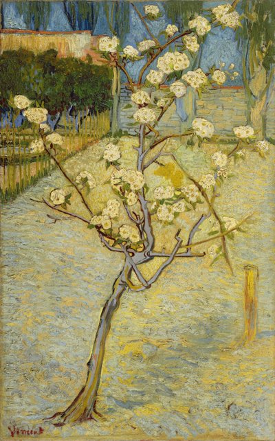  autorstwa Vincent van Gogh
