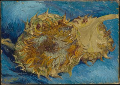  autorstwa Vincent van Gogh