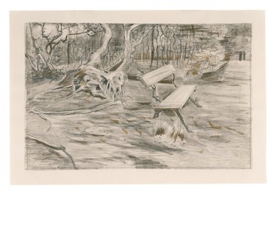 Ławka, 1882 autorstwa Vincent van Gogh
