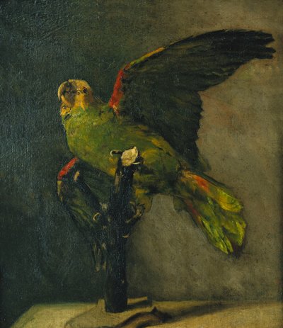 Zielona papuga; Zielona papuga, 1885 autorstwa Vincent van Gogh