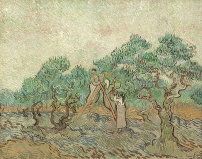 Sad Oliwny, 1889 autorstwa Vincent van Gogh