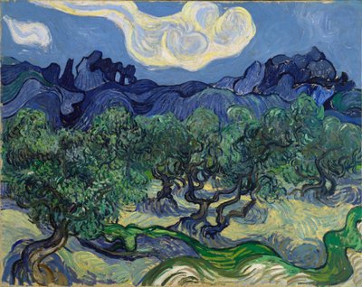 Drzewa oliwne autorstwa Vincent van Gogh