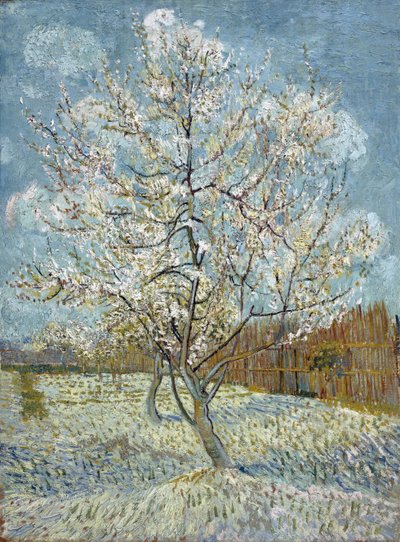 Różowa Brzoskwinia autorstwa Vincent van Gogh