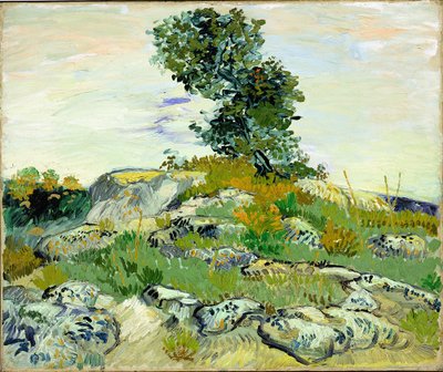 Skały autorstwa Vincent van Gogh