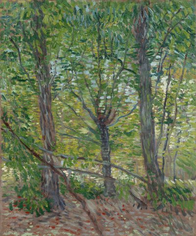  autorstwa Vincent van Gogh