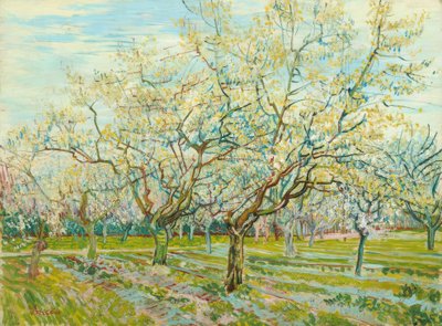 V. van Gogh, Biały sad autorstwa Vincent van Gogh