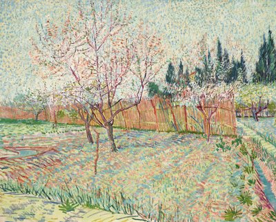 Sad z cyprysami autorstwa Vincent van Gogh
