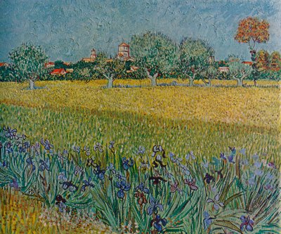 Widok Ales z irysami w rozkwicie, 1888 autorstwa Vincent van Gogh