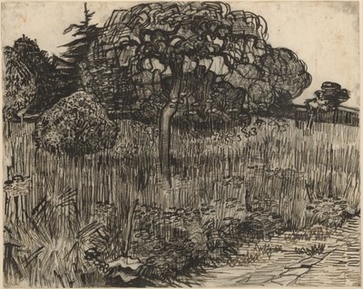 Płaczące drzewo autorstwa Vincent van Gogh