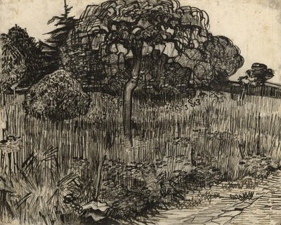 Płaczące drzewo, 1889 autorstwa Vincent van Gogh