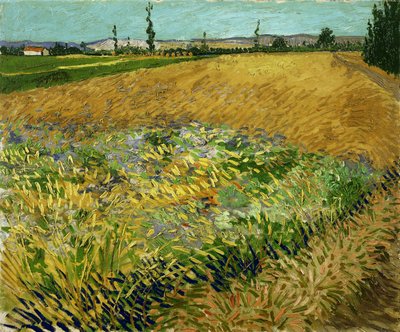 Pole pszenicy autorstwa Vincent van Gogh