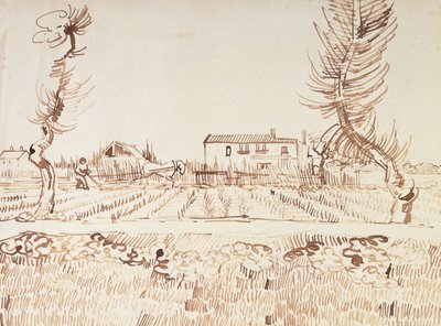 Praca na polach w Arles; Oracz na polach w Arles, 1888 autorstwa Vincent van Gogh